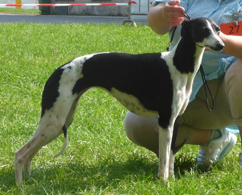 Publication : Des Filles D'eole Auteur : Catherine Munier Fourquet