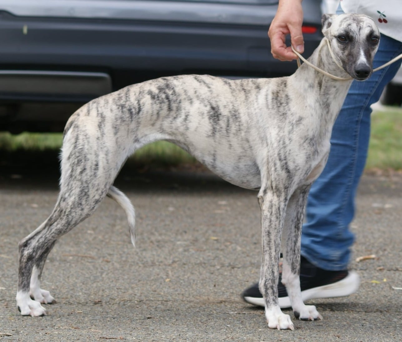 Publication : Des Filles D'eole Auteur : Les Filles d'Eole