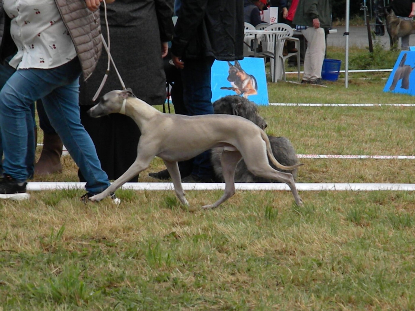 Publication : Des Filles D'eole Auteur : Les Filles d'Eole