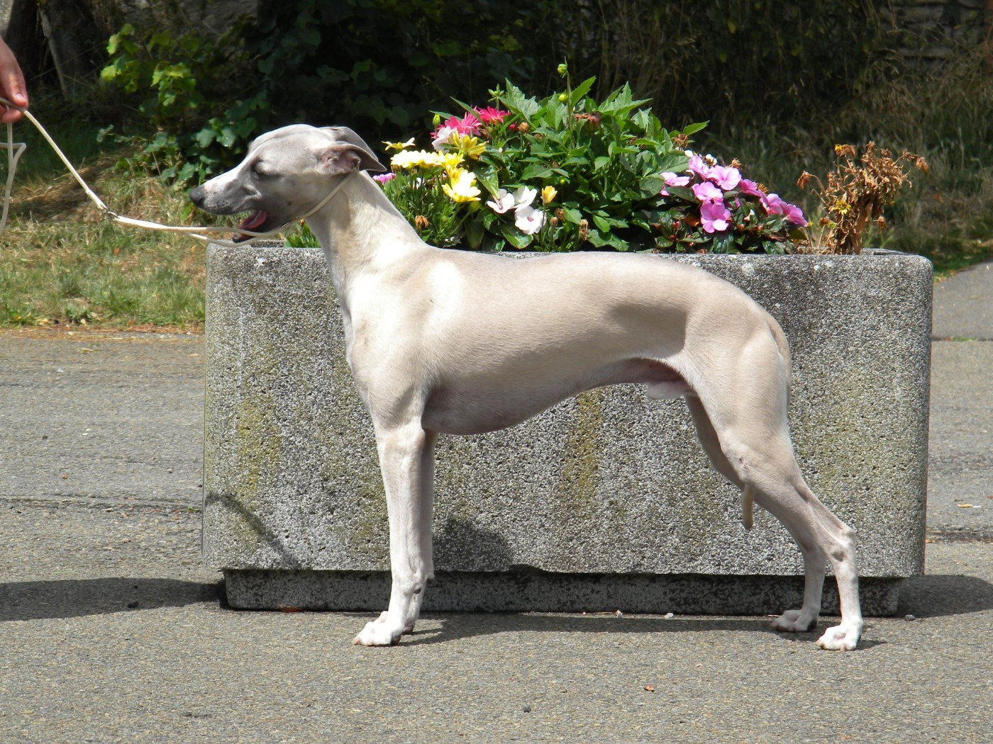 Publication : Des Filles D'eole Auteur : Les Filles d'Eole