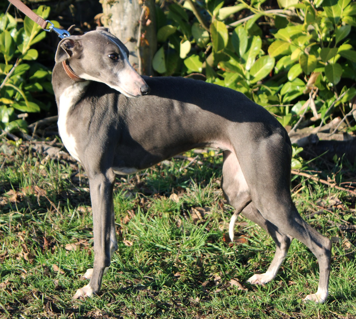 Publication : Des Filles D'eole Auteur : Les Filles d'Eole