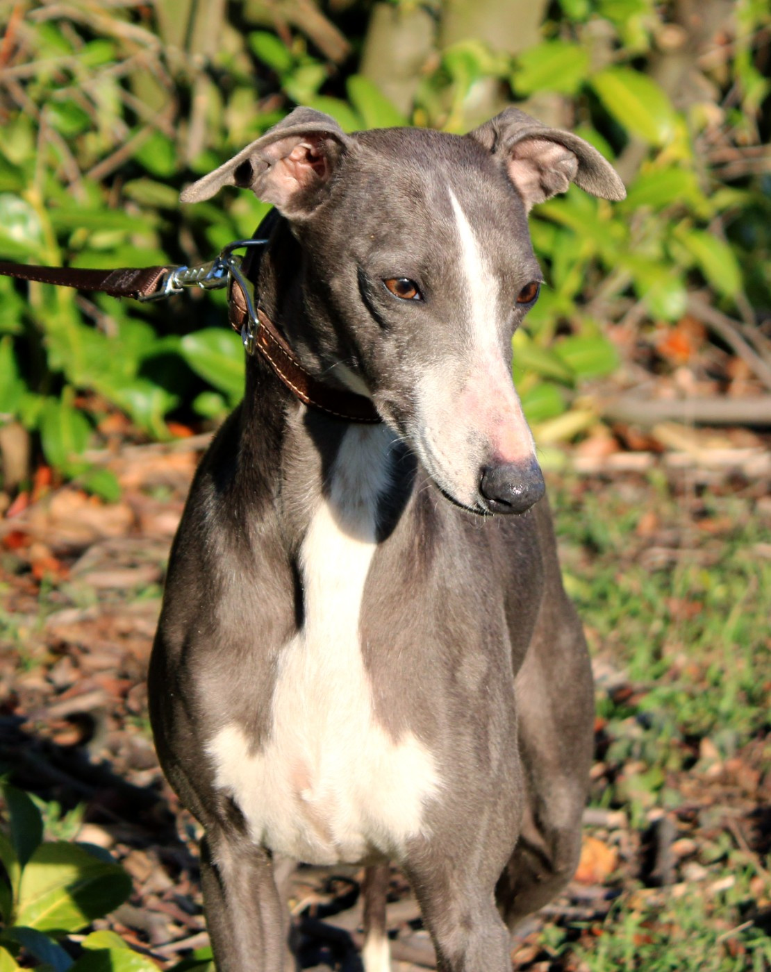 Publication : Des Filles D'eole Auteur : Les Filles d'Eole