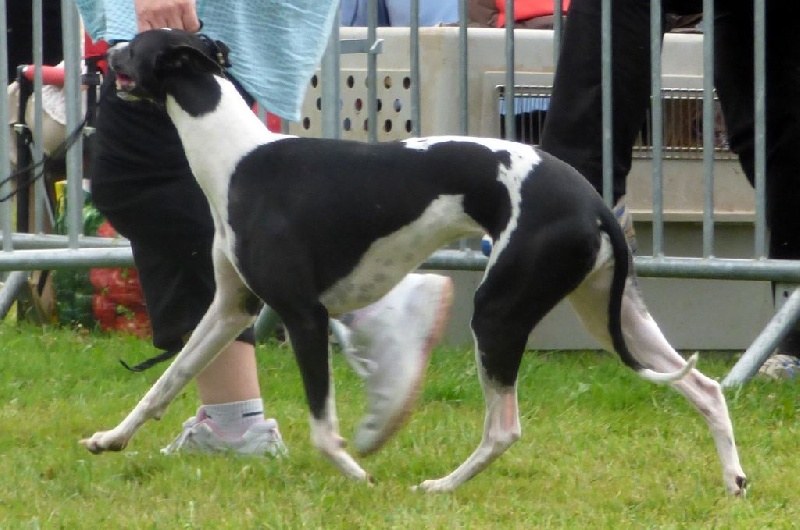 Publication : Des Filles D'eole Auteur : Catherine Munier Fourquet