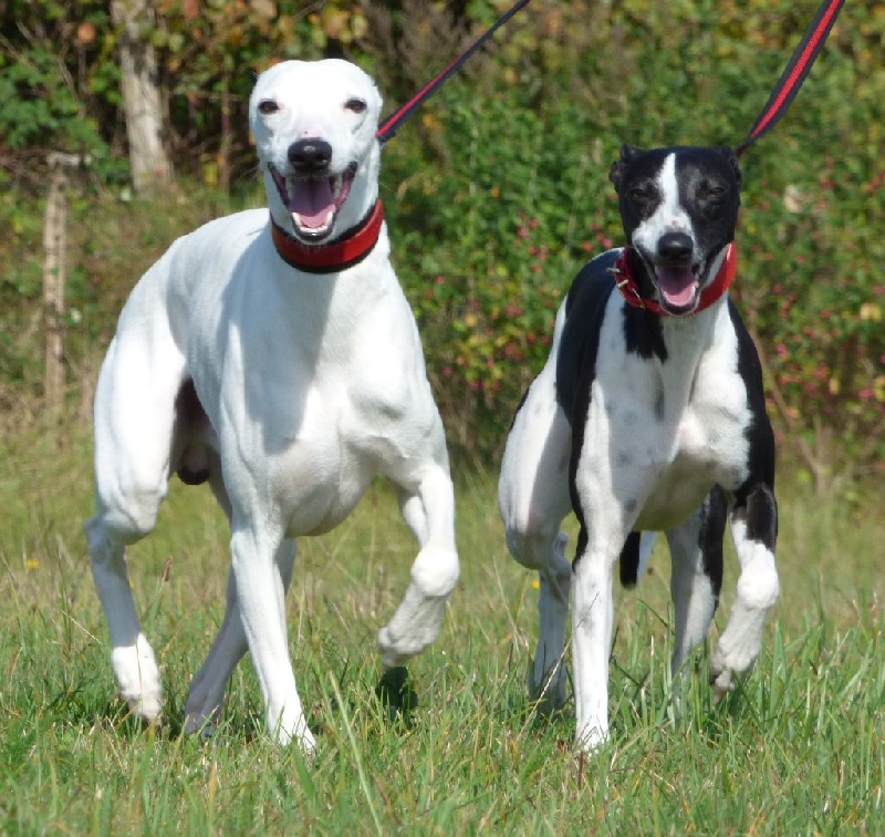 Publication : Des Filles D'eole Auteur : Catherine Munier Fourquet