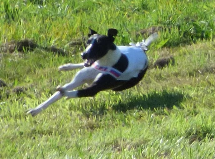 Publication : Des Filles D'eole Auteur : Catherine Munier Fourquet