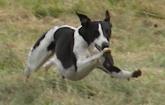 Publication : Des Filles D'eole Auteur : Catherine Munier Fourquet