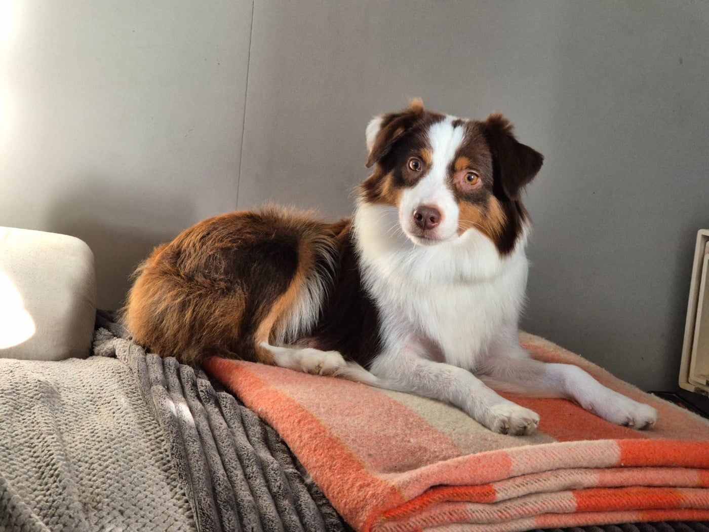 Publication : de La Lune De Feu Auteur : lalunedefeu