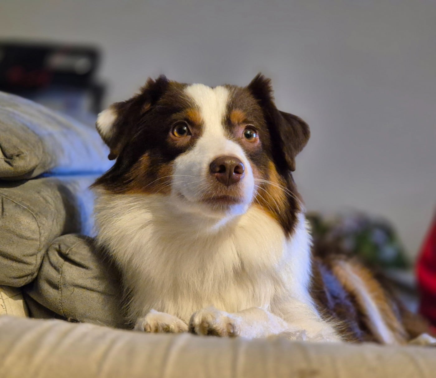 Publication : de La Lune De Feu Auteur : lalunedefeu