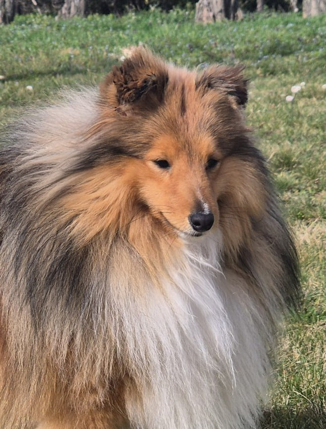 Publication : de La Lune De Feu Auteur : lalunedefeu