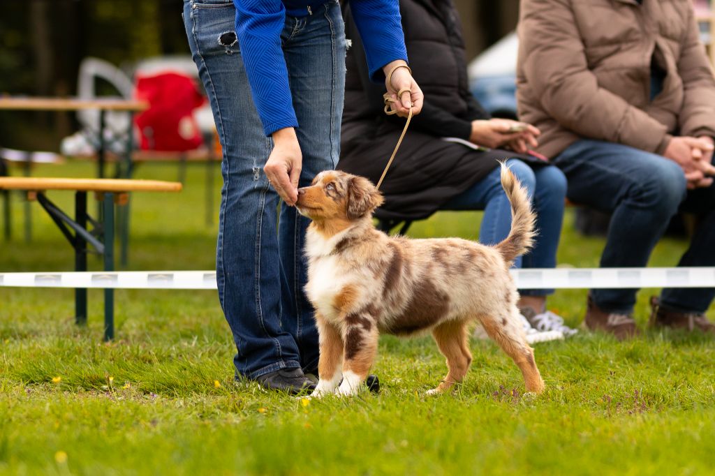 Another dream verone mini de La Lune De Feu