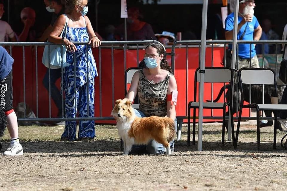 Rockstar cole de La Lune De Feu - 1er très prometteur Meilleur Puppy