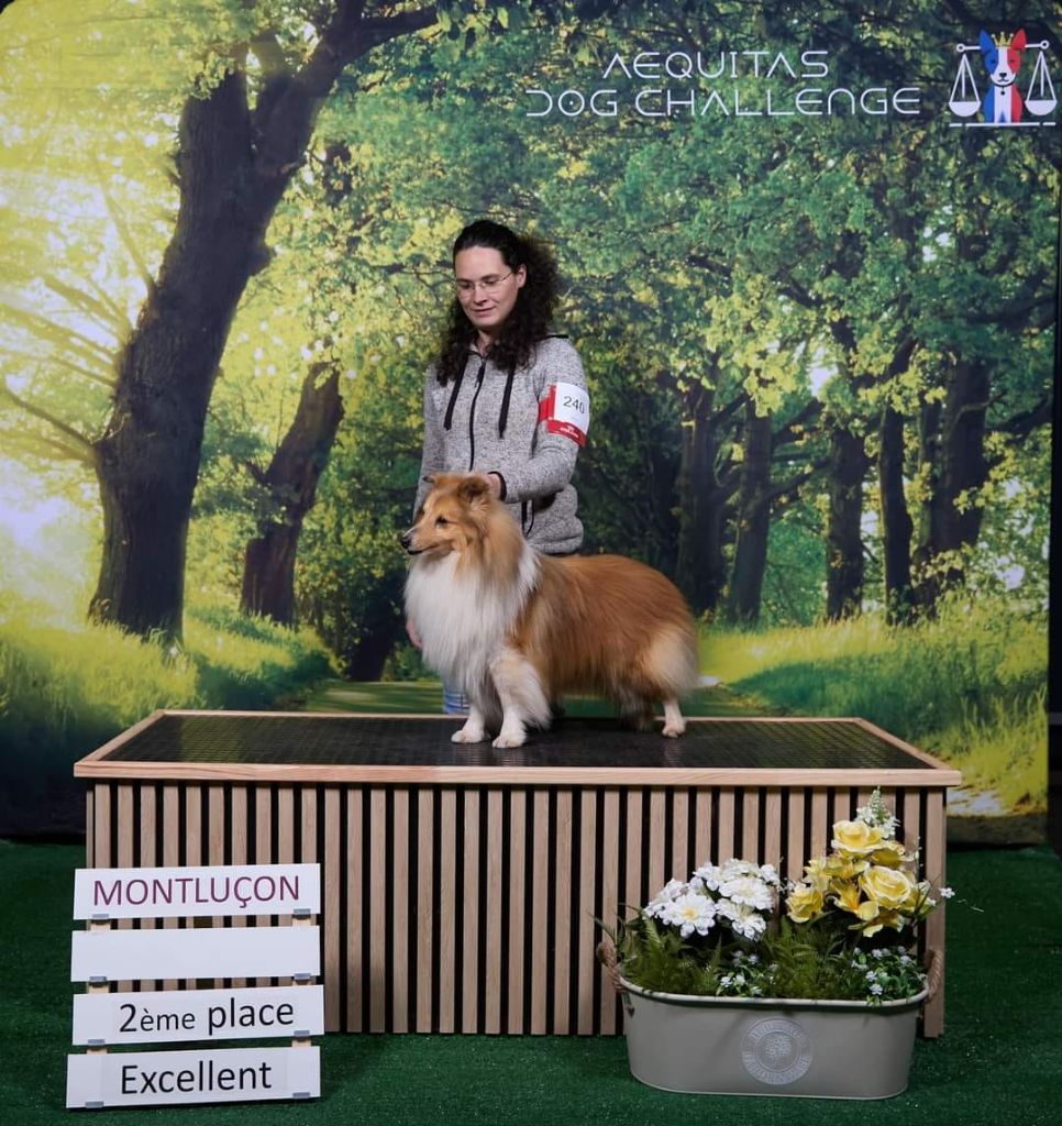 Rockstar cole de La Lune De Feu - 2eme Excellent