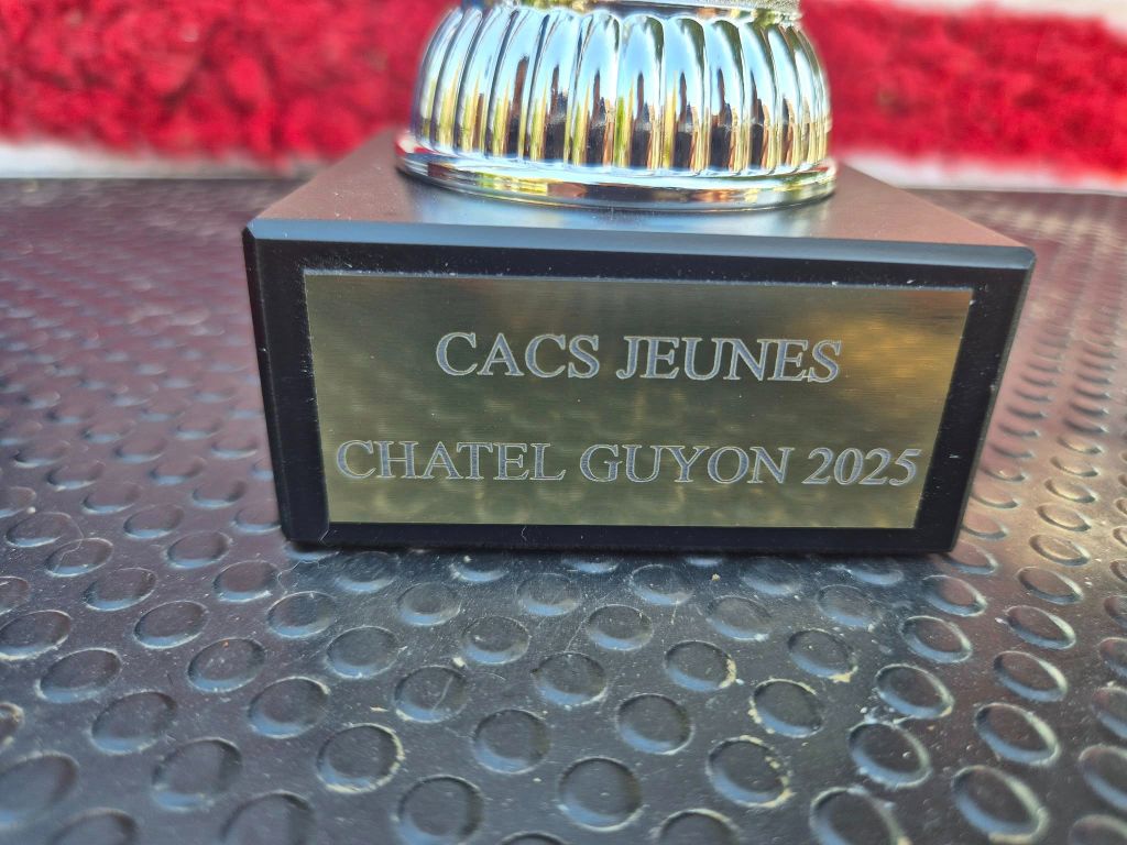 Valkyrie okami no kage de La Lune De Feu - 1ere Excellent CACS-J