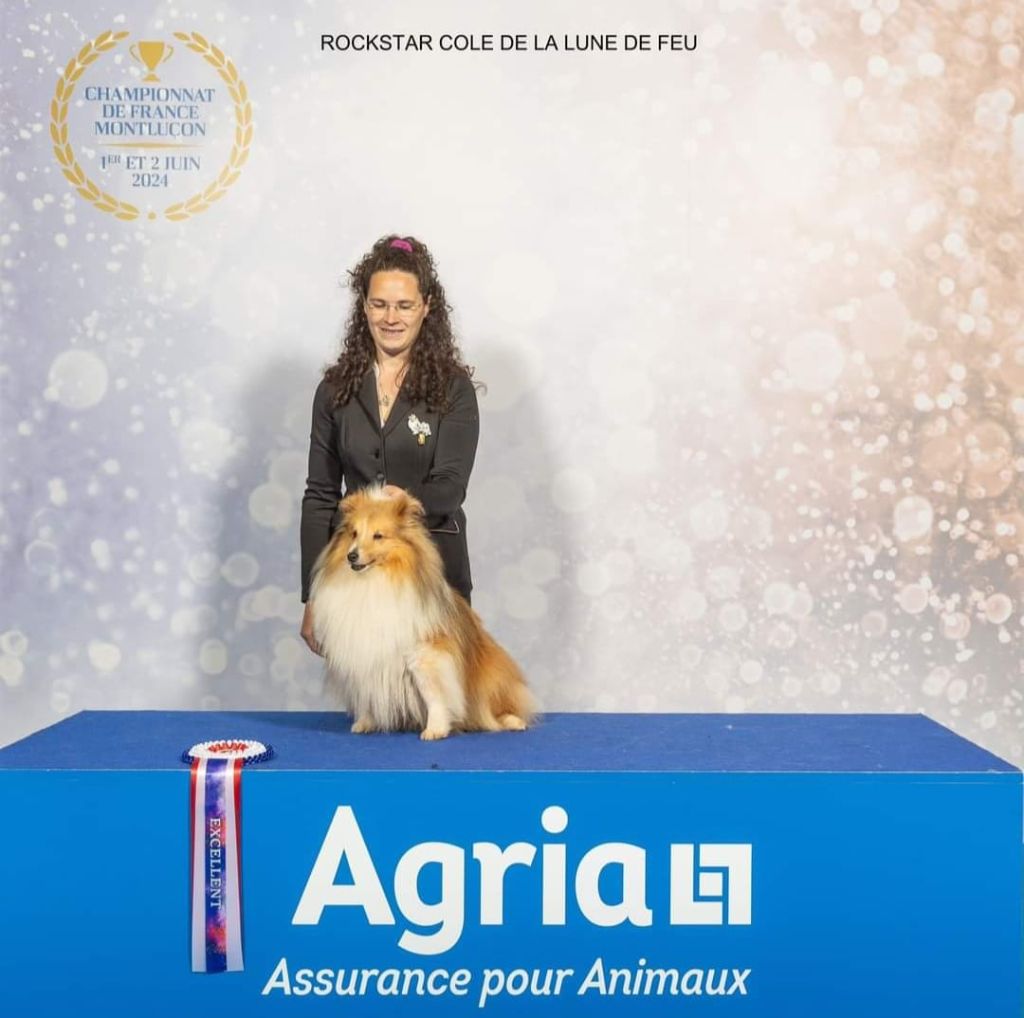 Rockstar cole de La Lune De Feu - 2eme Excellent en classe Ouverte