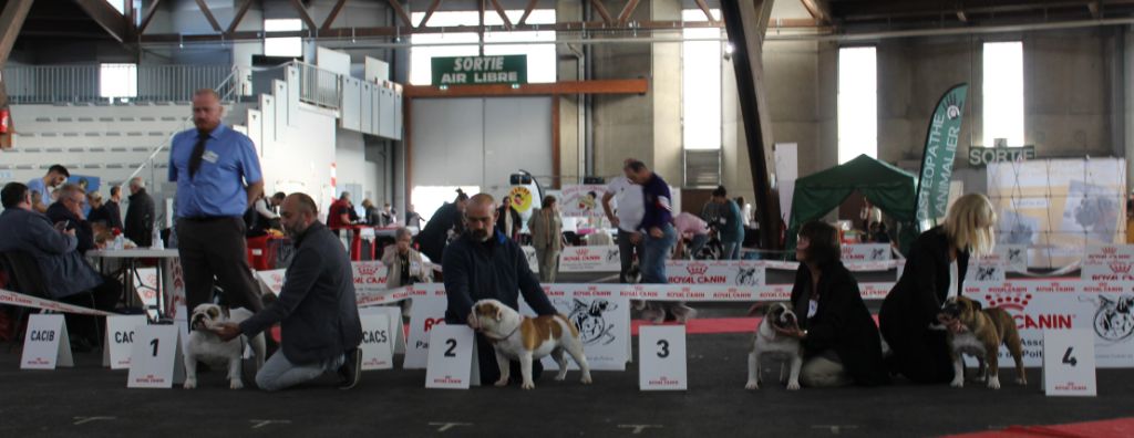 Nabila Du courtil du noyer - 4ème EXCELLENT