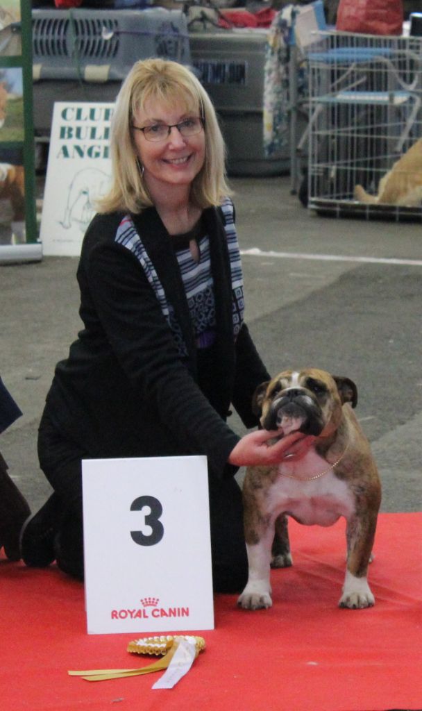 Nabila Du courtil du noyer - 3ème EXCELLENT - Classe Jeune Femelle