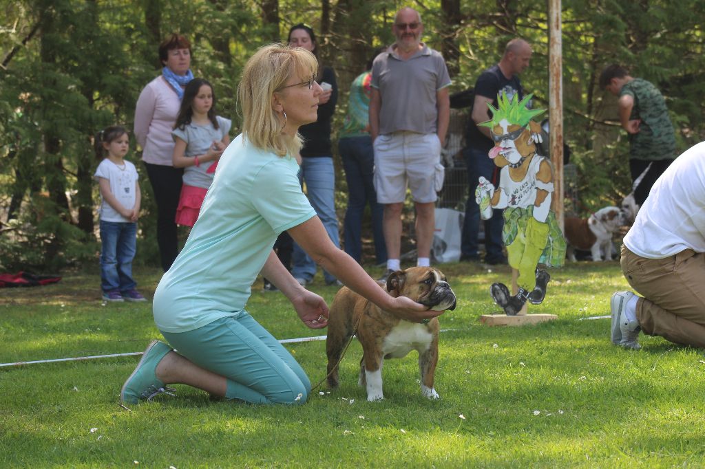 Nabila Du courtil du noyer - 2ème TRES PROMETTEUR Classe BABY Femelle