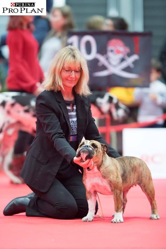 Nabila Du courtil du noyer - 1er EXCELLENT / MEILLEUR JEUNE