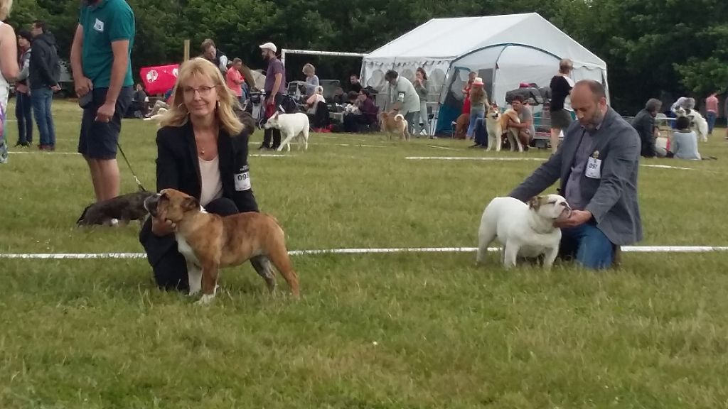 Nabila Du courtil du noyer - TRES PROMETTEUR - Classe Puppy