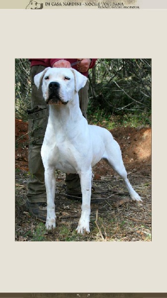 Publication : du Domaine du Sable Blanc Auteur : Nardini elsa