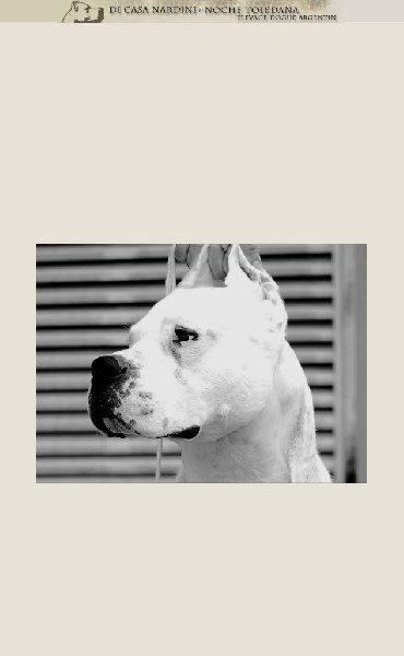 Publication : de la noche toledana Auteur : Nardini elsa