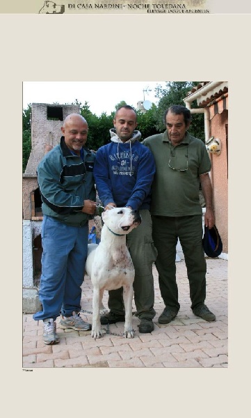 Publication : de la noche toledana Auteur : Nardini elsa