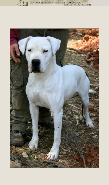 Publication : du Domaine du Sable Blanc Auteur : Nardini elsa