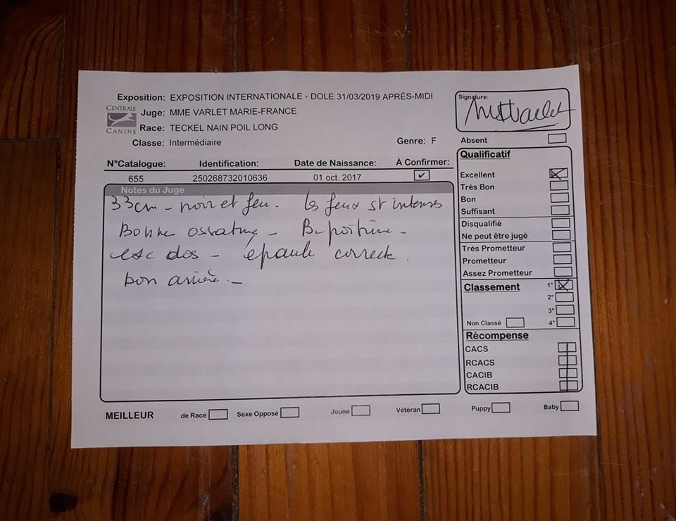 Nuit câline dite naevia du domaine de luard - 1er EXCELLENT