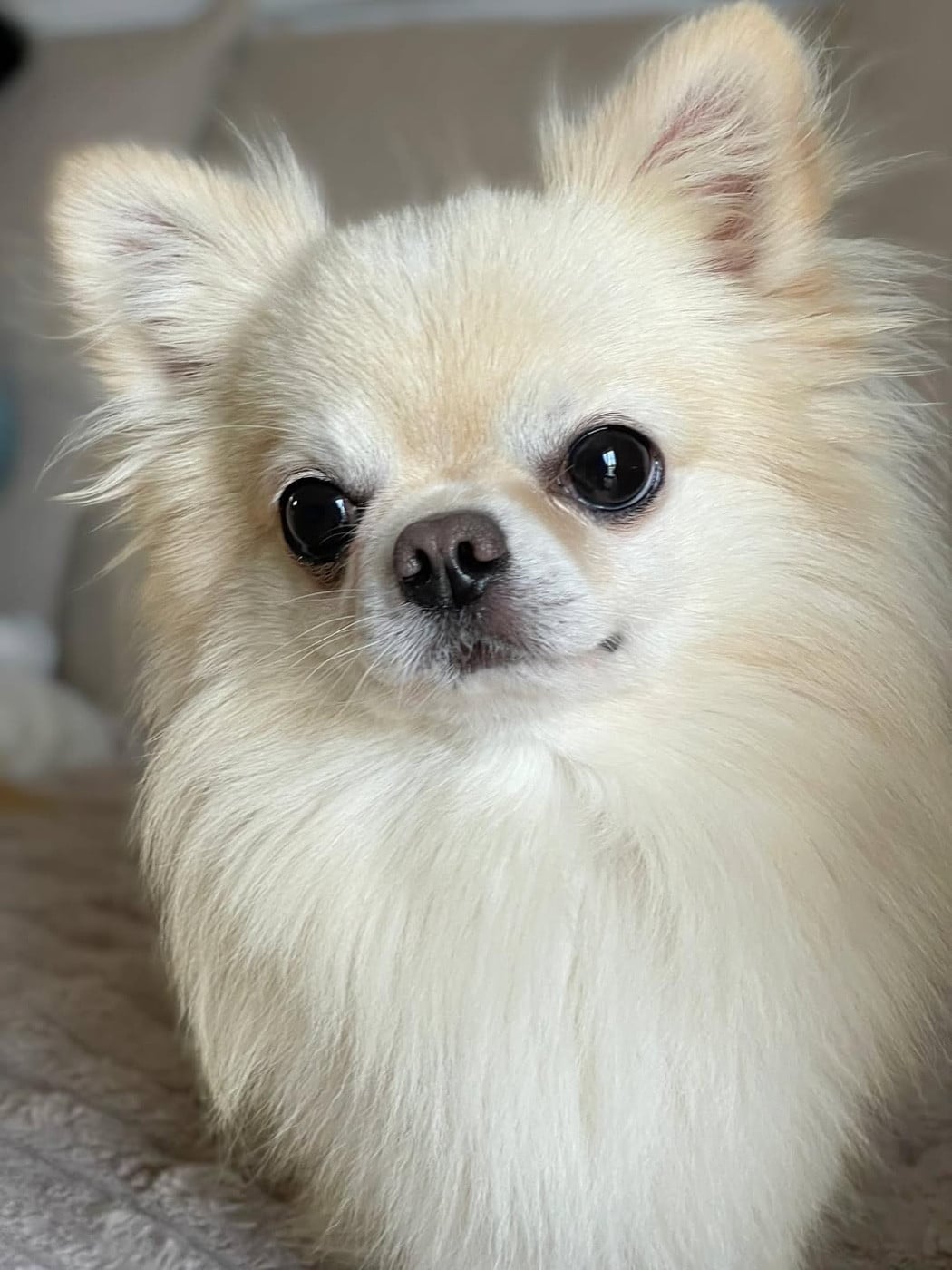 Publication : Des Bandits De Tula