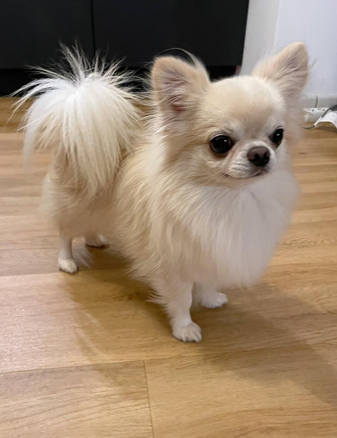 Publication : Des Bandits De Tula