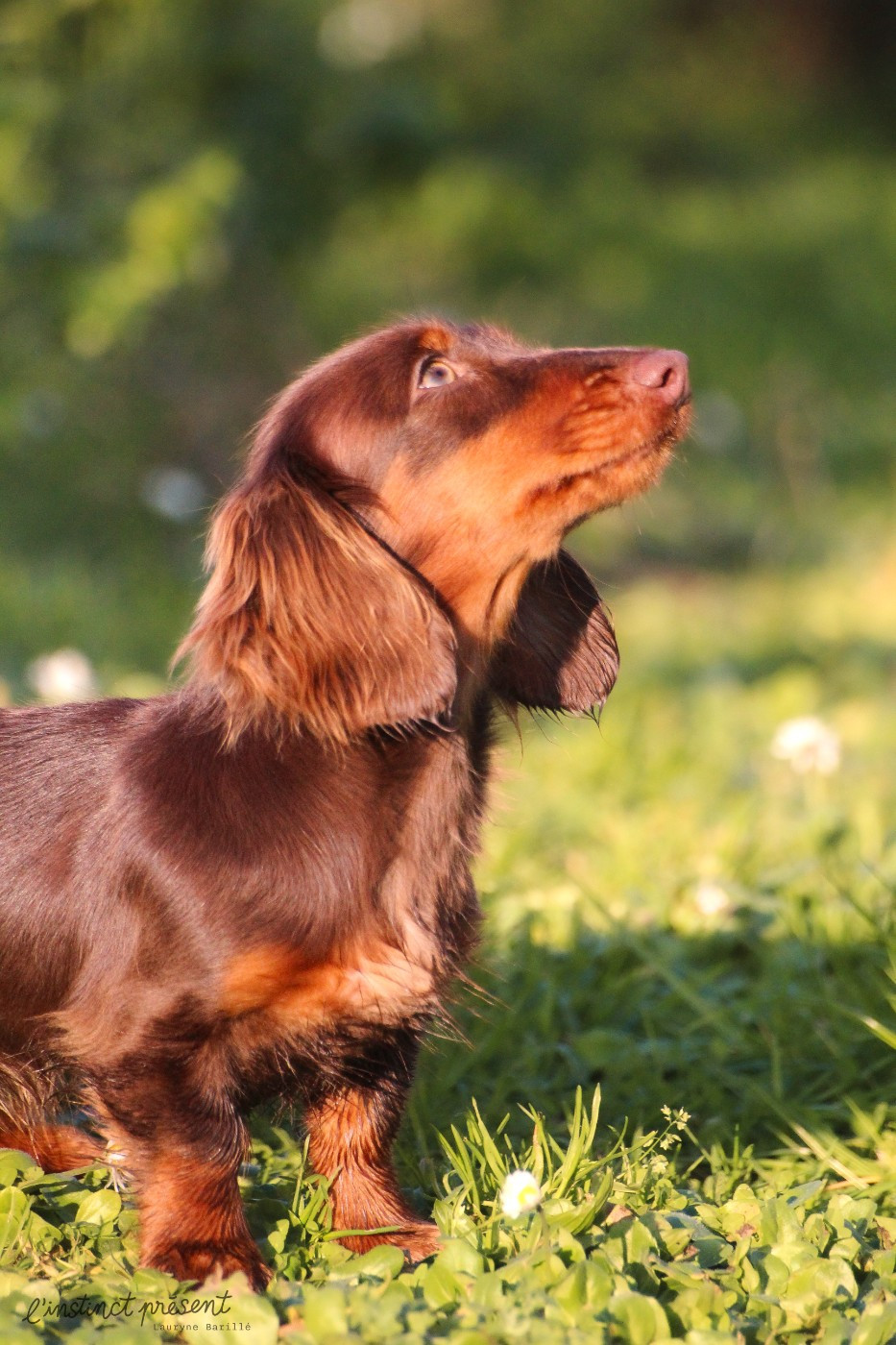 Volga Du Clos Des Bords De Mer