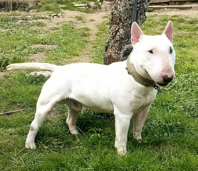 Publication : du Domaine d'Yspahan