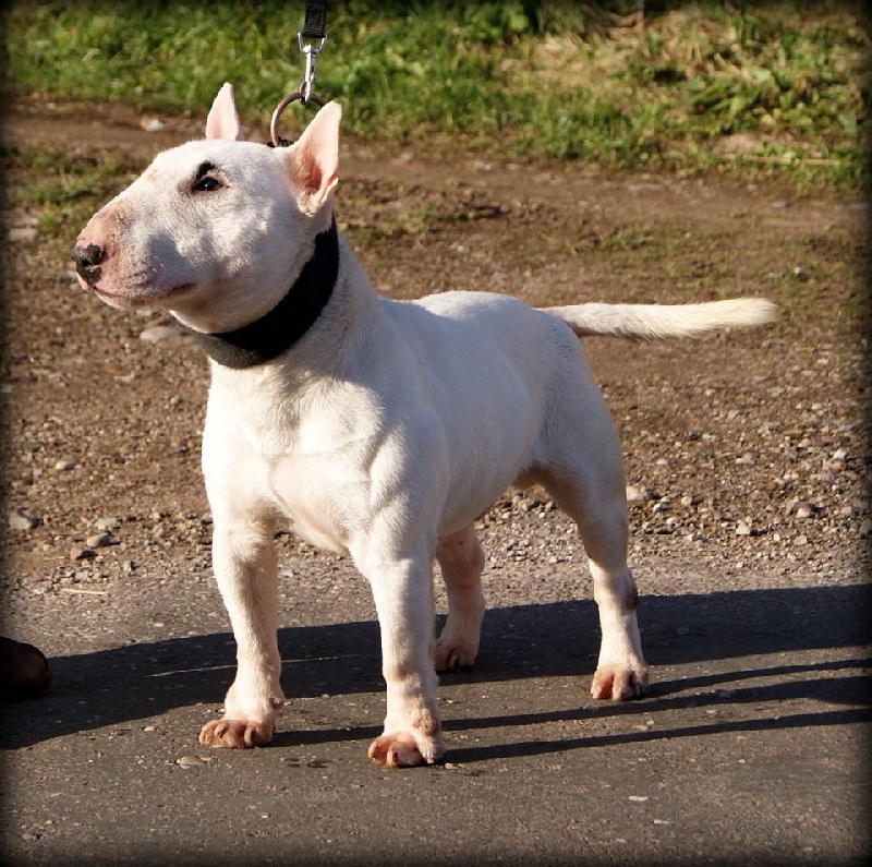 Publication : du Domaine d'Yspahan