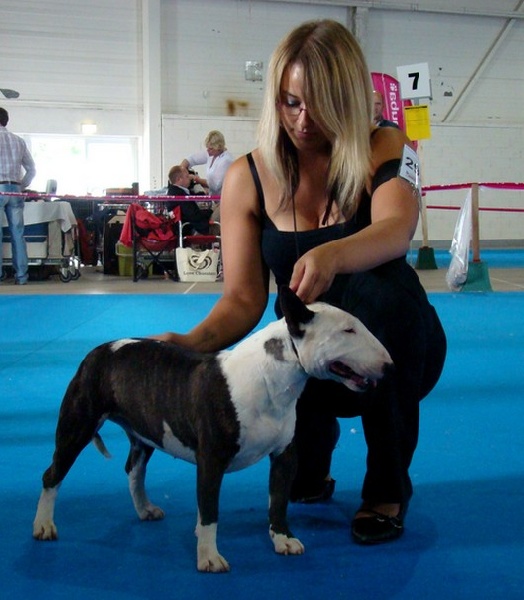 Ginseng des Terres du Salagou