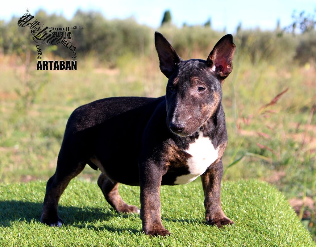 ARTABAN