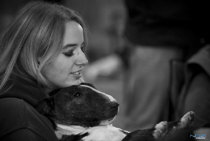 CH. Gordon's Du mas des rêves - 1exc, RCACIB