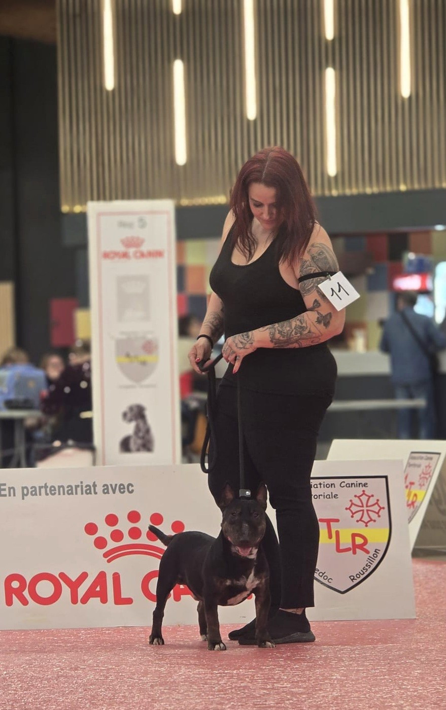 hell's line Ragnar lodbrok - 3eme Très Bon (ouverte male)