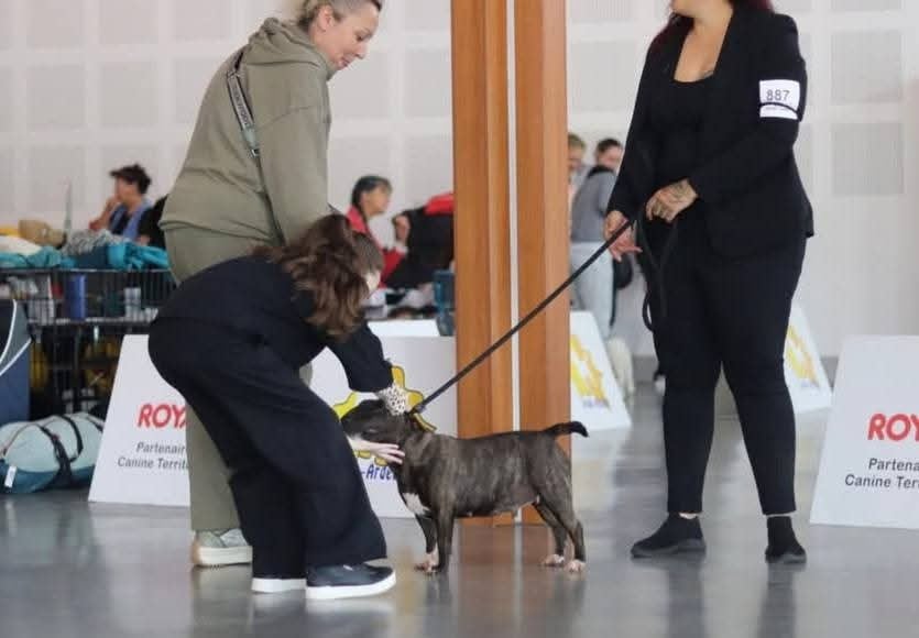 hell's line Russian roulette - 1ére Excellente