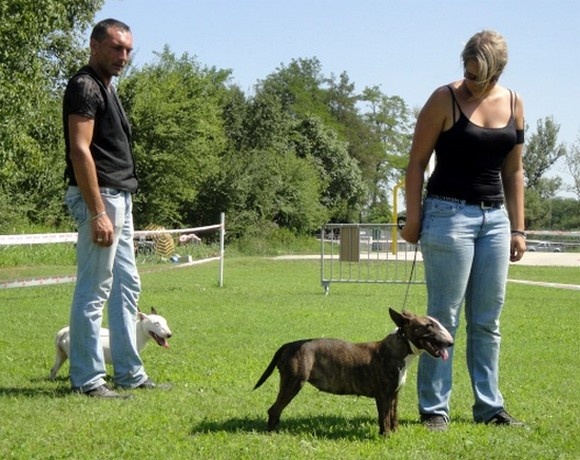 Justeph Tornado - 3éme excellente