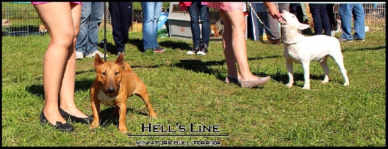 Allascala Lakers - 2 EME TRES BON