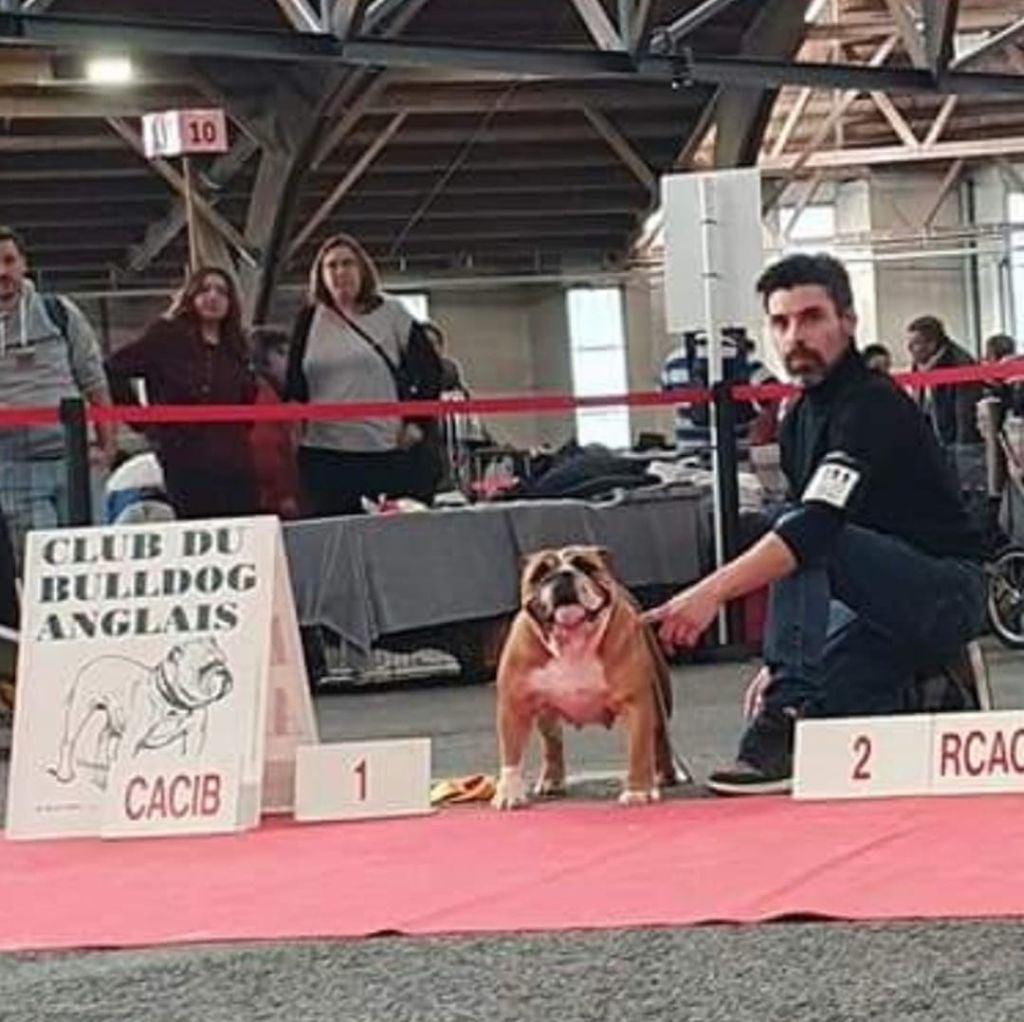 Publication : Des éclats De Cassiopée Auteur : DES ECLATS DE CASSIOPEE