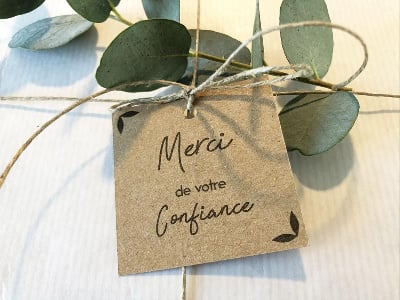 Les chiots de Bulldog Anglais