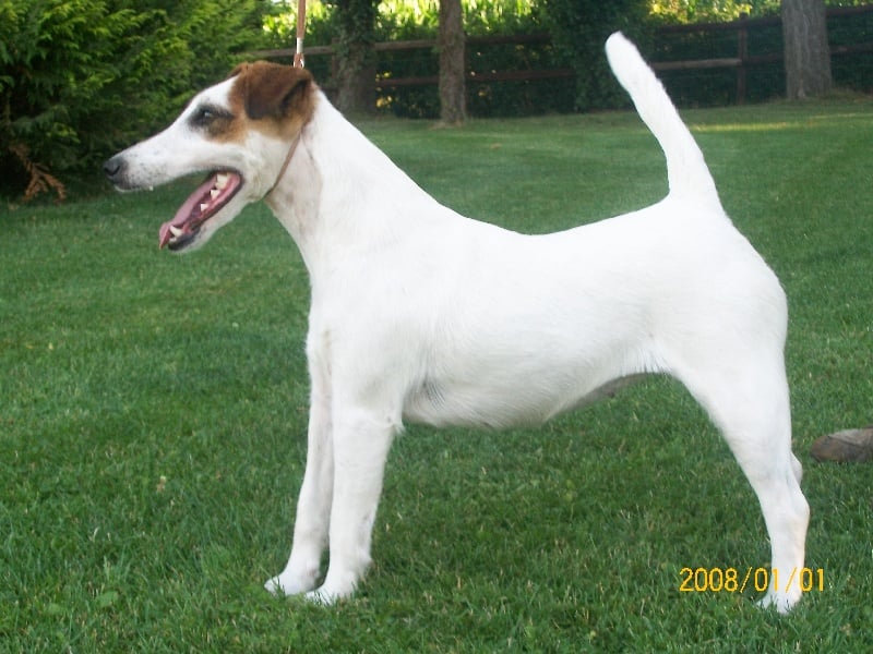 Publication : Des Futaies Du Plessis