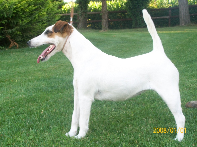 Publication : Des Futaies Du Plessis