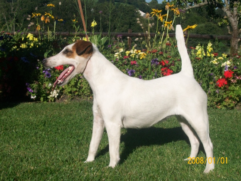 Publication : Des Futaies Du Plessis