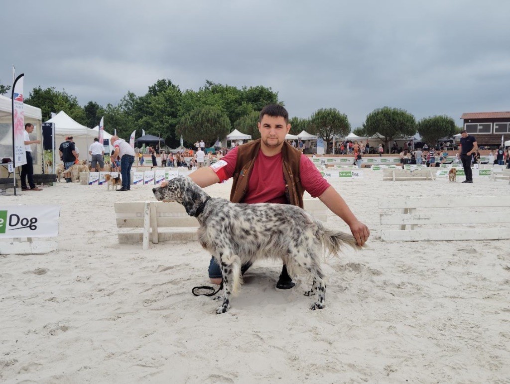 Nera De Marais Becasses - 1ex cac