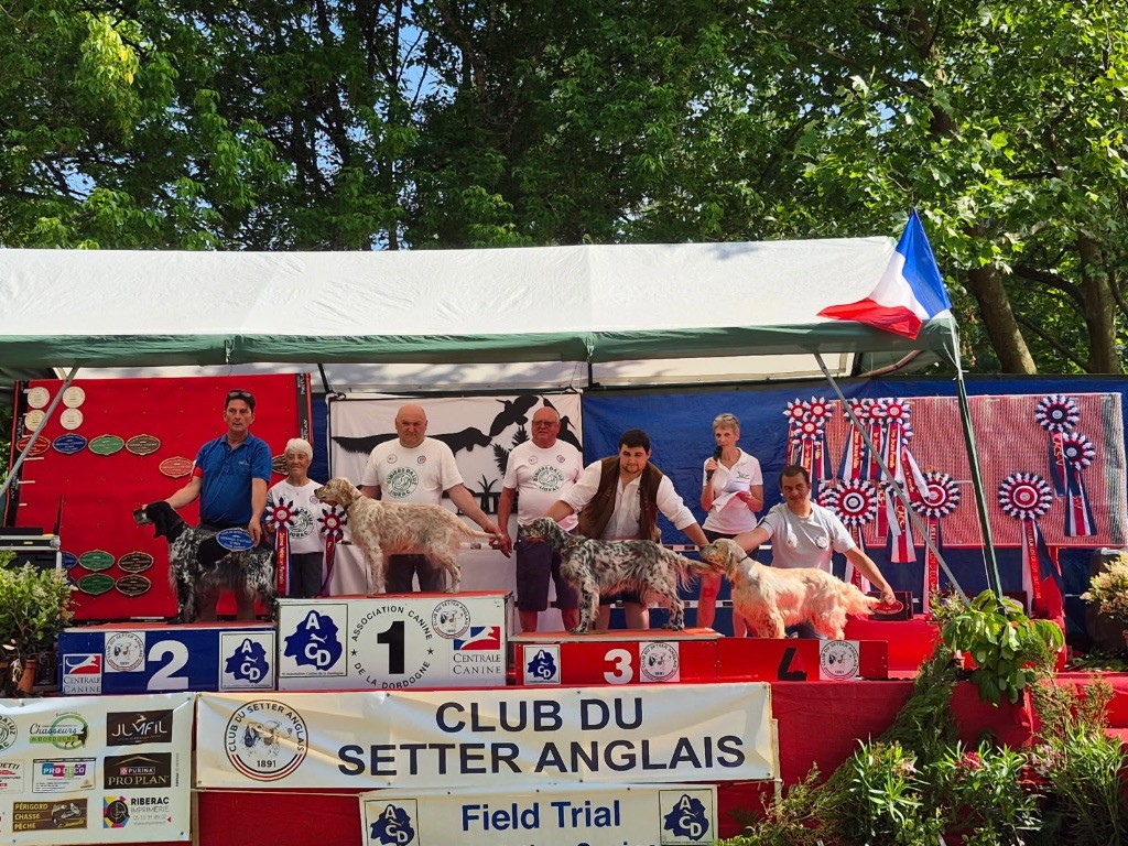 Nera De Marais Becasses - 3 ex