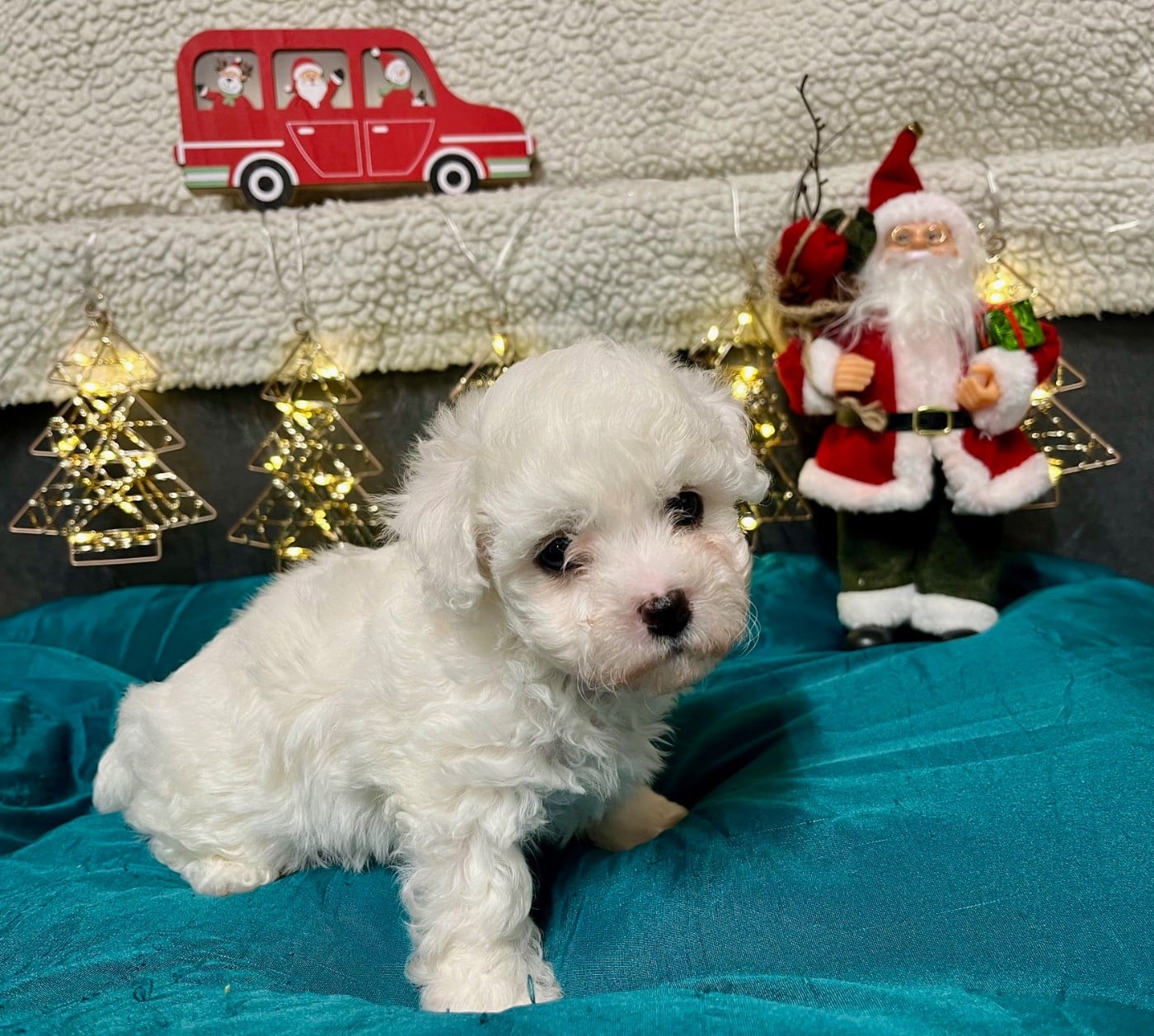 A... des Sentiers du Perche