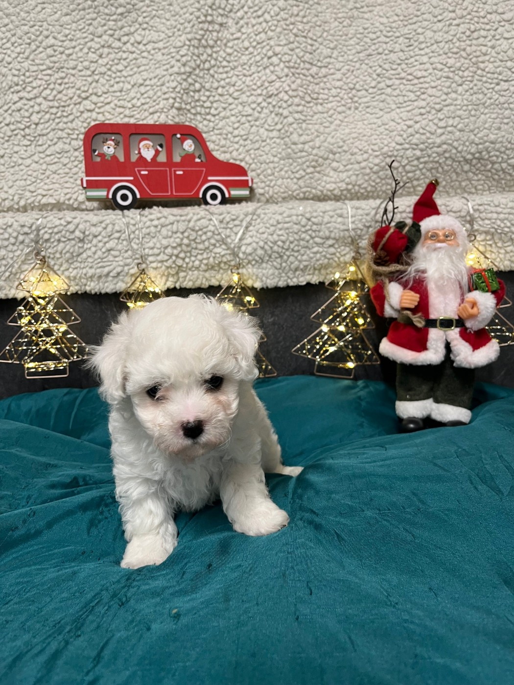 A... des Sentiers du Perche