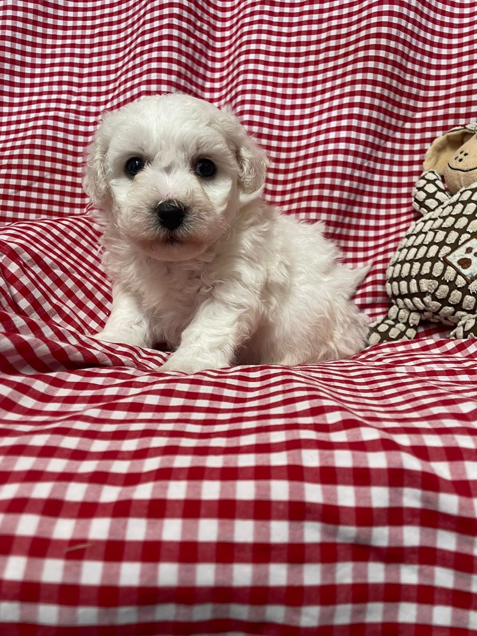 B... des Sentiers du Perche